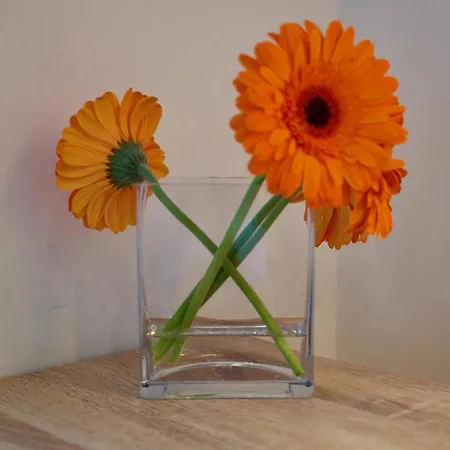 Ondarreta With Independent Entrance Pansiyon San Sebastián