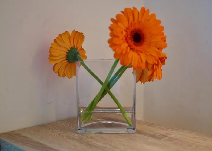 Ondarreta With Independent Entrance Alloggio in famiglia San Sebastián